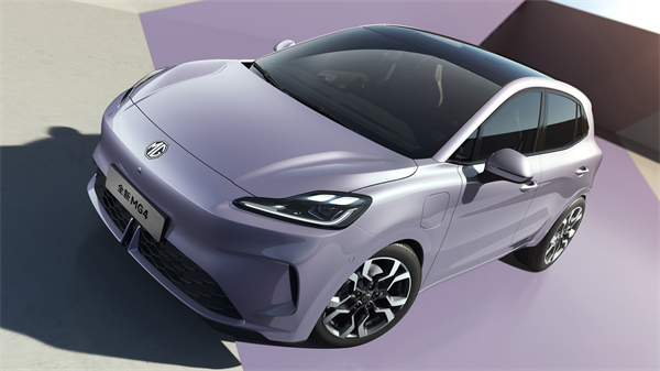 Illustration for the section "What the company says about its structure and footprint" from SAIC MOTOR